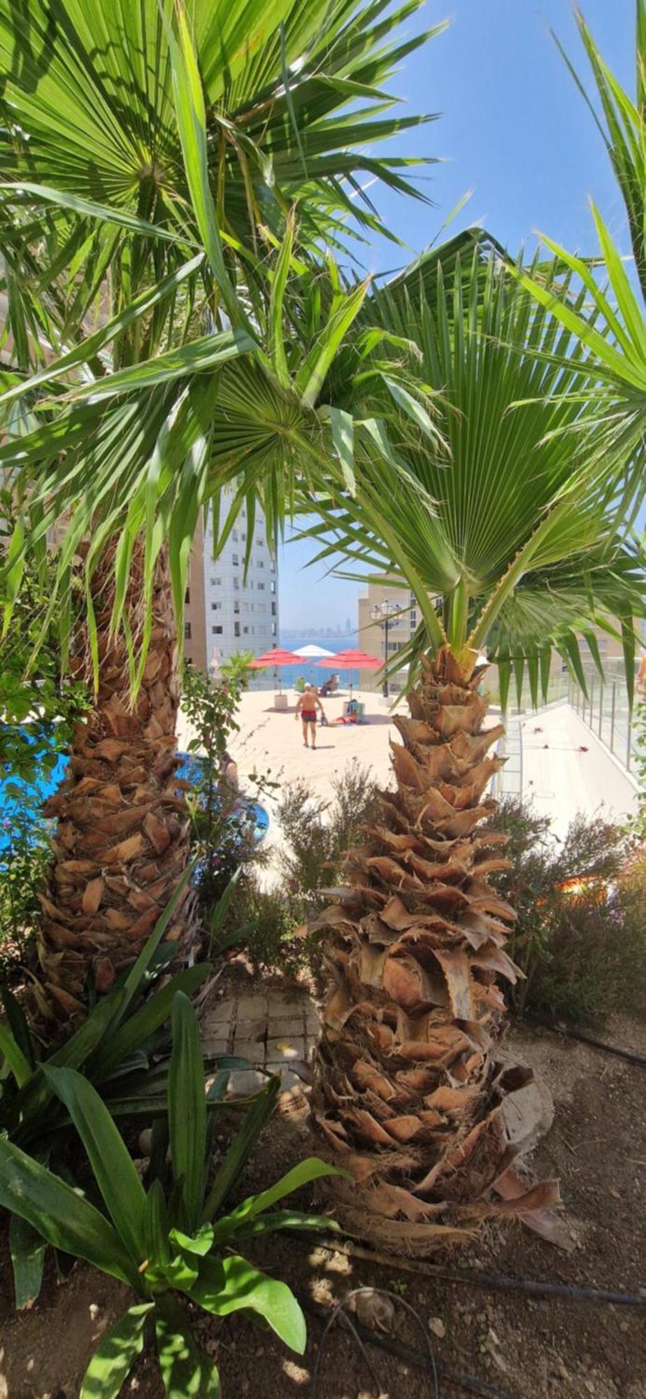 Nice Stay Trinisol 2 Benidorm Exterior photo